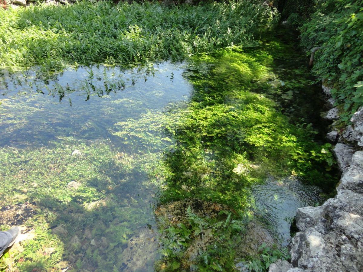 Water Spring Βίλα Hrvace Εξωτερικό φωτογραφία